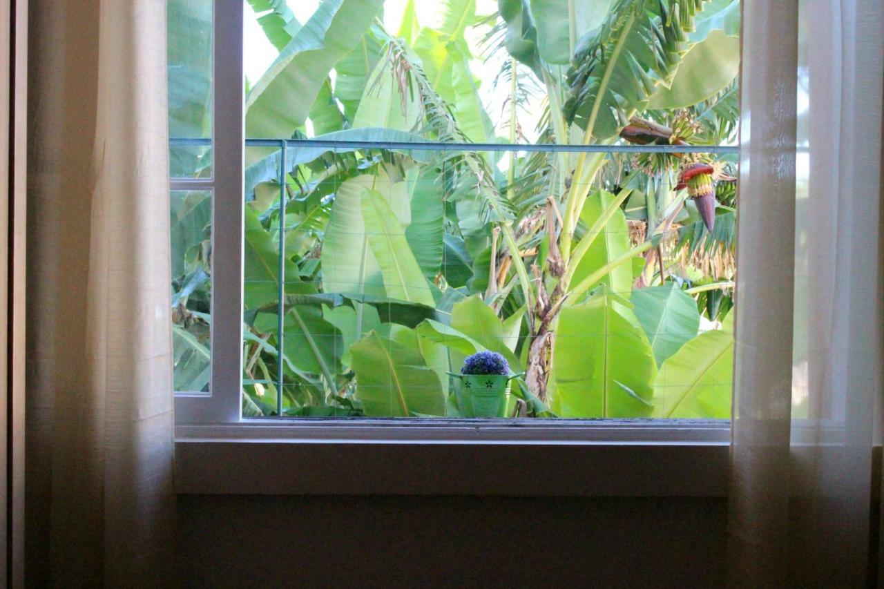 Hostel Fx Pena Funchal  Zewnętrze zdjęcie